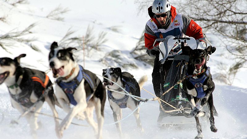 El mushing, según el doble campeón del mundo Iker Ozkoidi -- Ver ahora