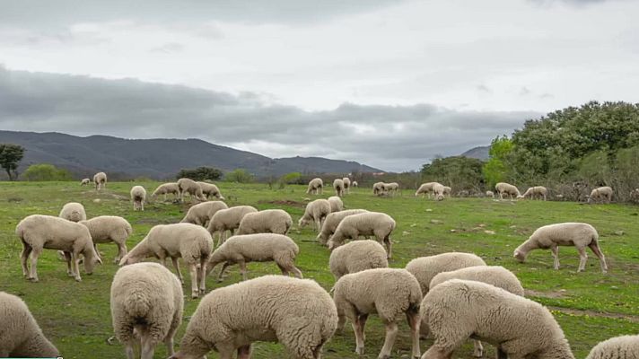 El tiempo - Intervalos de viento fuerte en el litoral gallego y zonas de la Comunidad Valenciana y Baleares