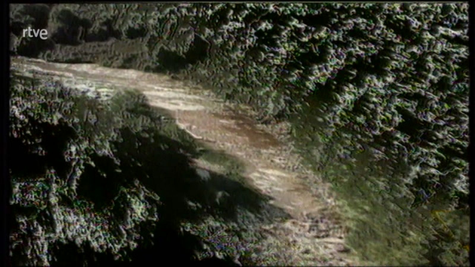 Jara y sedal - El gran marlín azul - ver ahora