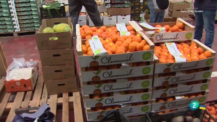 Telecanarias - Telecanarias 2 - 18/03/2022