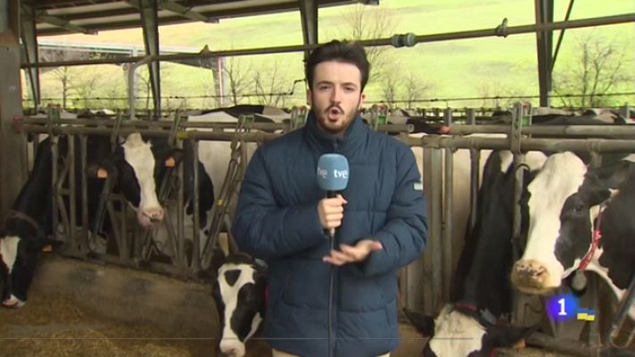 Telenavarra - crisis sector lácteo navarro