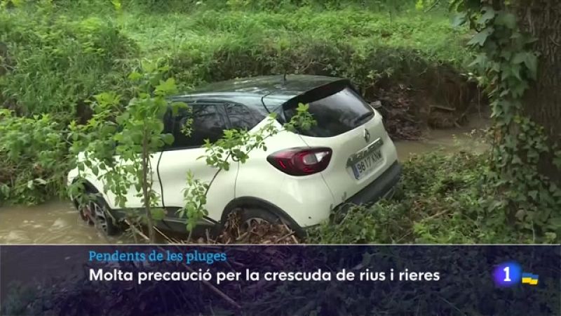 Mor ofegat un home quan intentava rescatar el seu gos