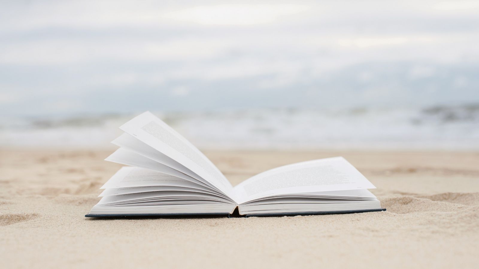 Reivindación de la paz en el Día Mundial de la Poesía