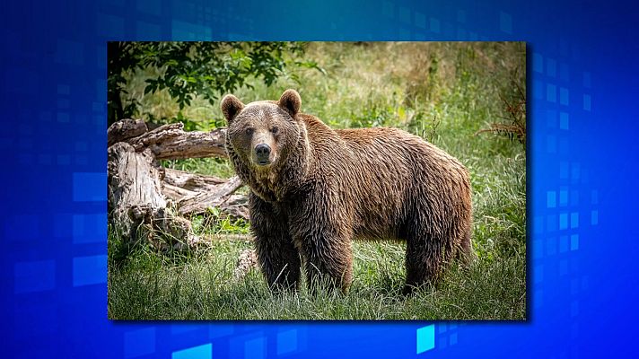 Saber y ganar - Saber y ganar - 24/03/22