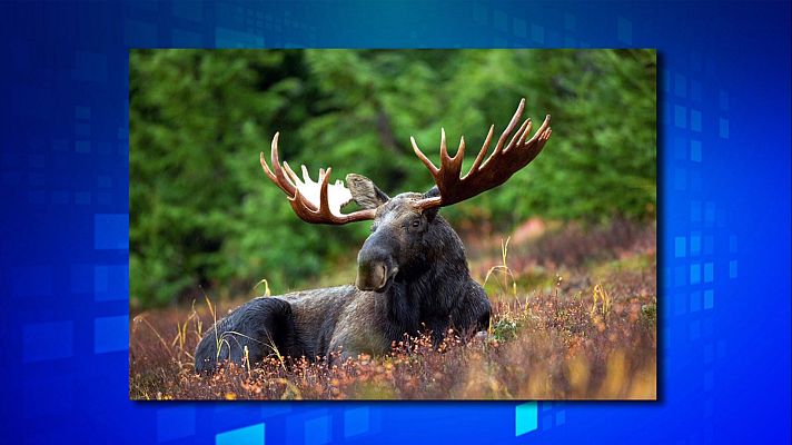 Saber y ganar - Saber y ganar. Edición de fin de semana - 27/03/22