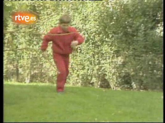 La bola de cristal - En esta historia falta...