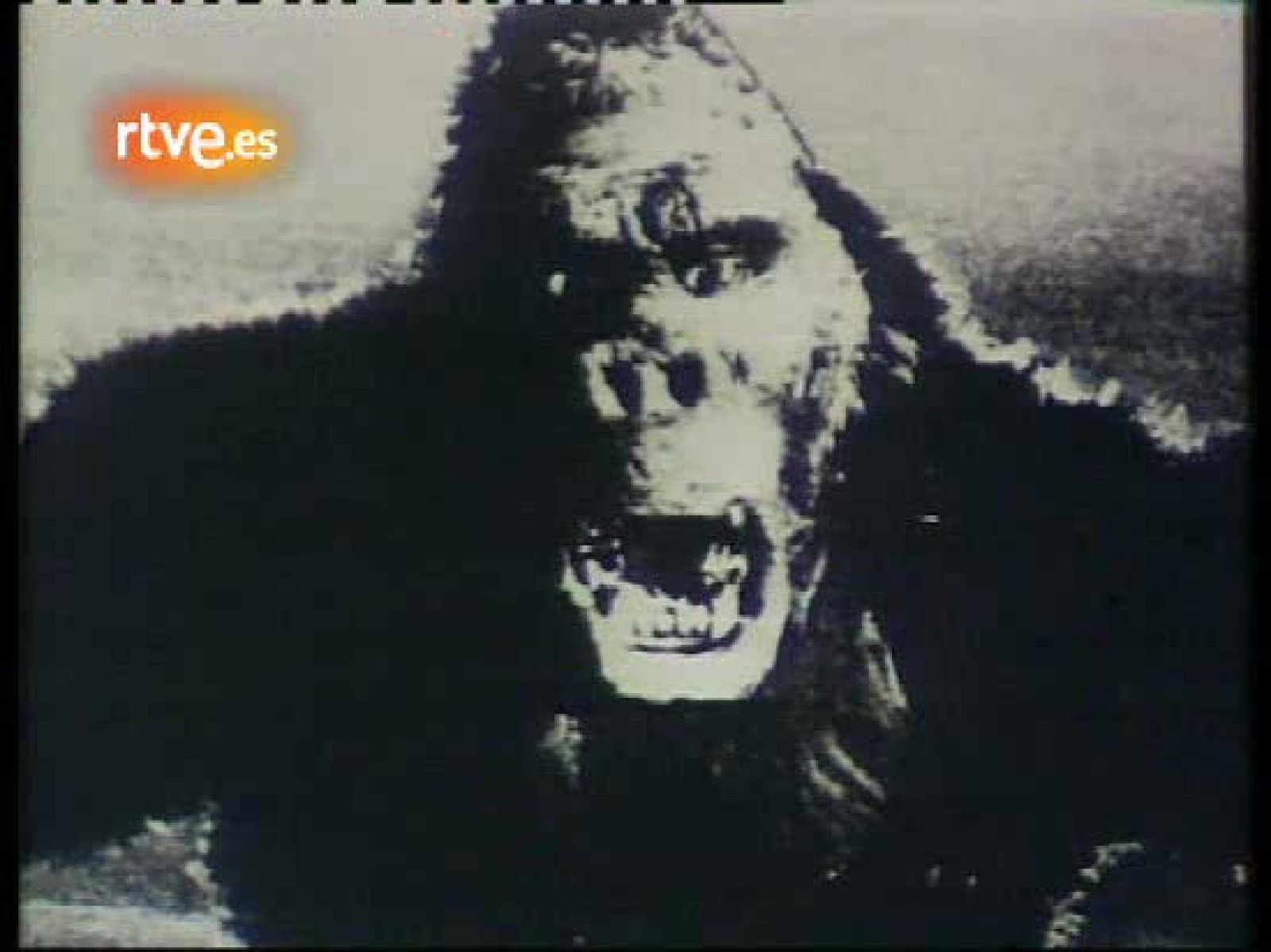 Bola de cristal - Si no quieres ser como éstos ¡lee! - La bola de cristal | Ver