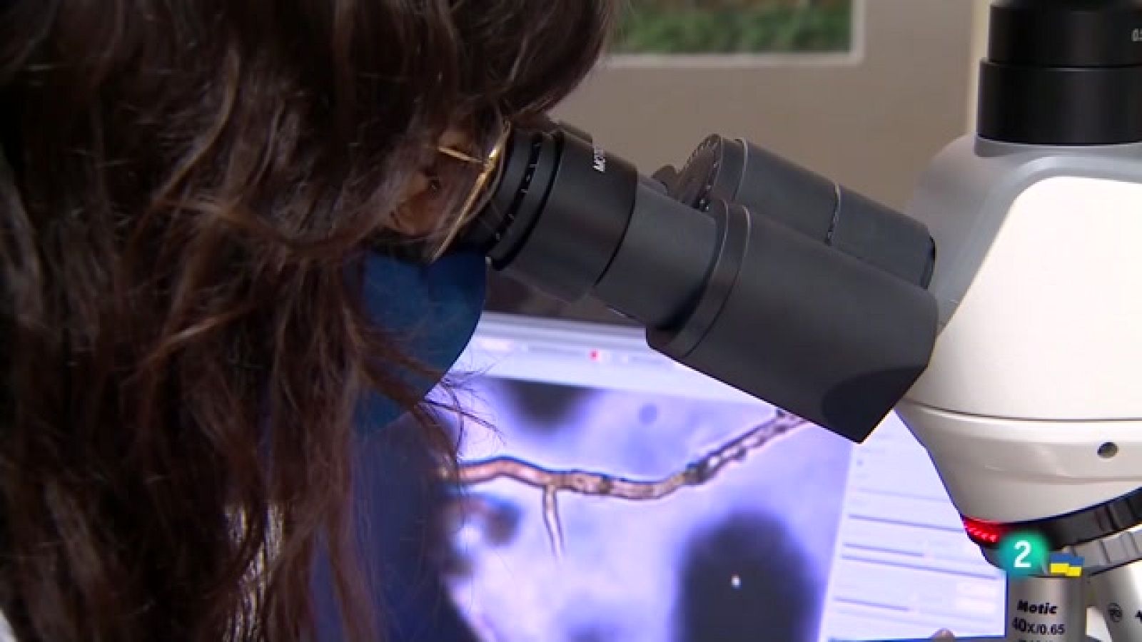 Telecanarias 2 - 21/03/2022