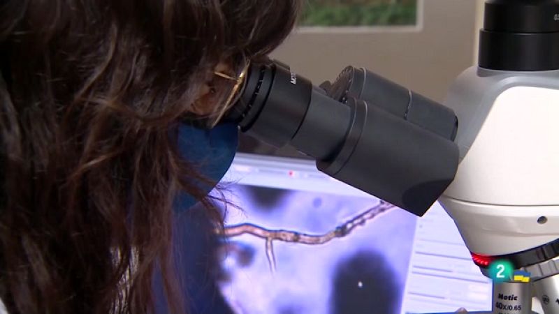 Telecanarias 2 - 21/03/2022