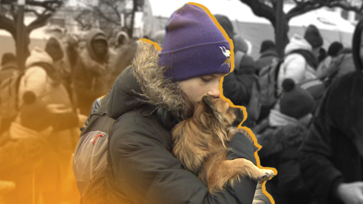 Noticias de Extremadura - Los colegios extremeños de veterinarios lanzan un protocolo ante la llegada de mascotas de Ucrania