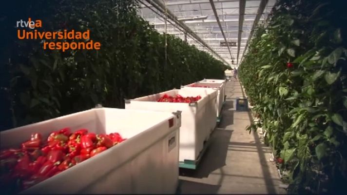 La aventura del Saber - ¿Qué hace que un alimento fresco pueda conservarse por tiemp