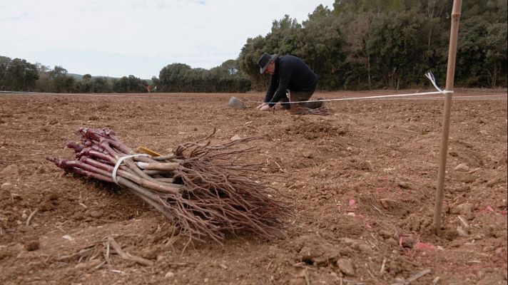 Aquí la Tierra - Aquí la Tierra - 22/03/22
