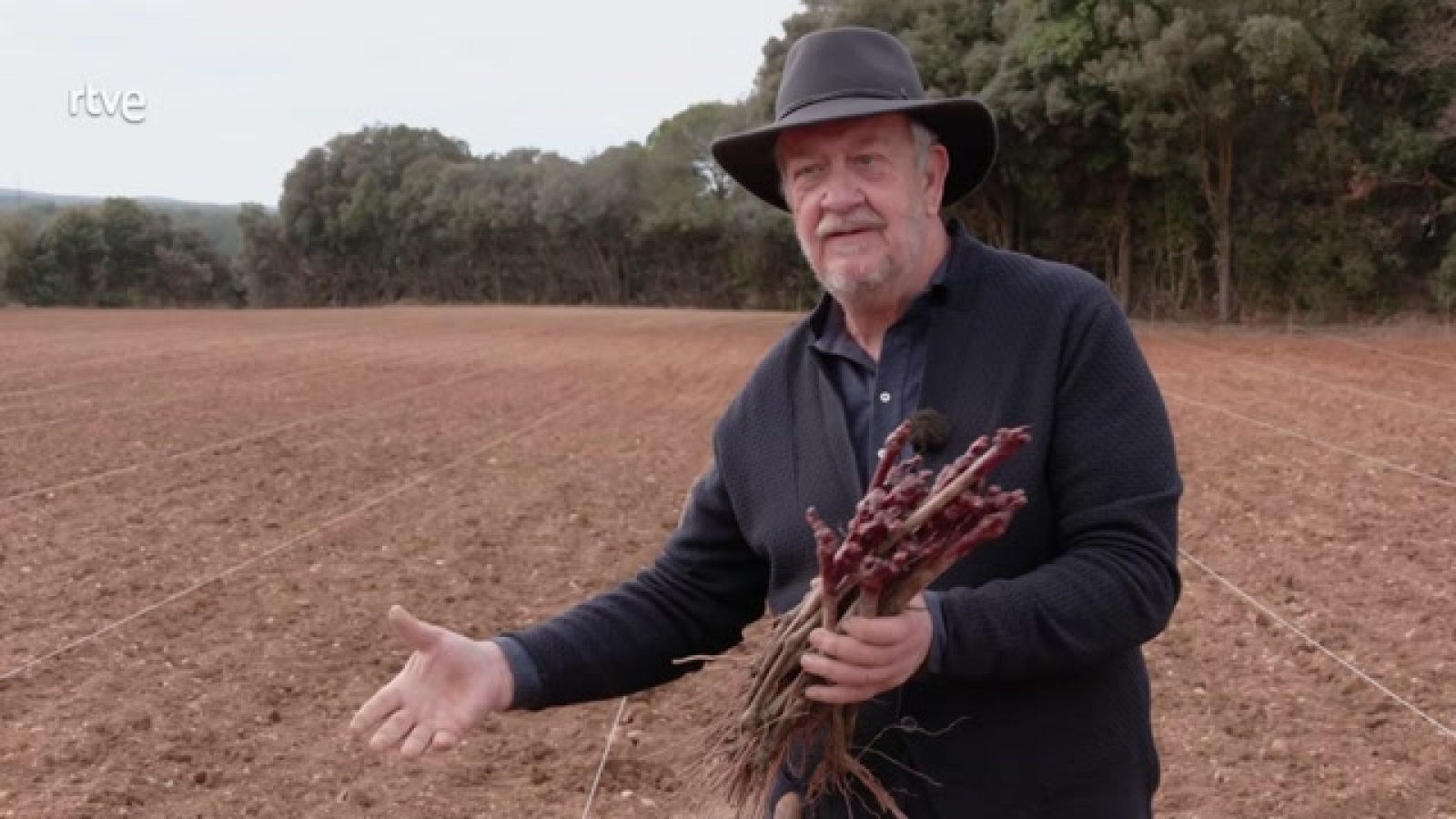 Aquí la Tierra - Cómo plantar una viña desde cero