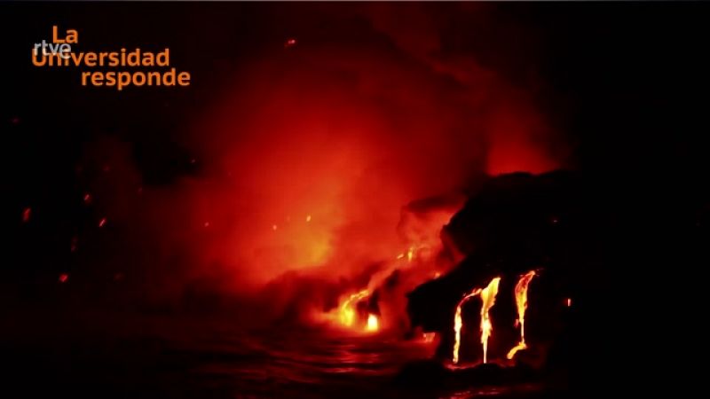 La aventura del saber - ¿Cuáles son las consecuencias del cambio climático?