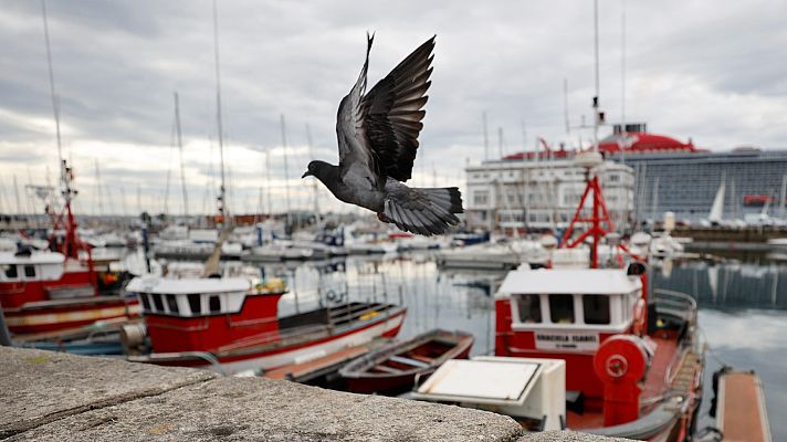 Telediario 2 - El sector pesquero también en huelga por el alto precio del carburante