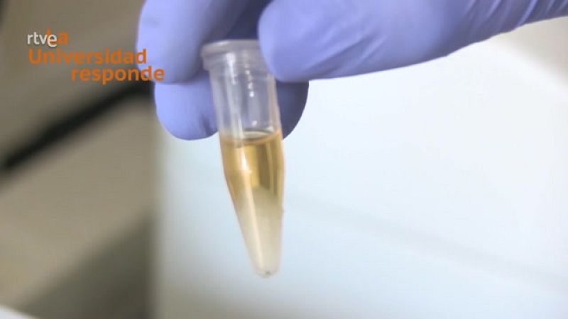 La aventura del saber - ¿Podemos obtener biodiesel y fragancias mediante un proceso limpio?