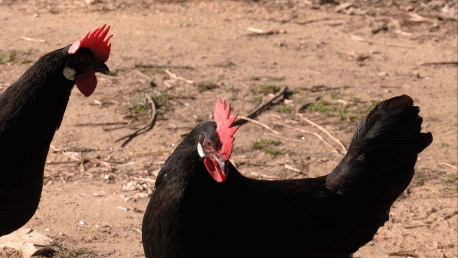 Aquí la Tierra - 24/03/22 - ver ahora