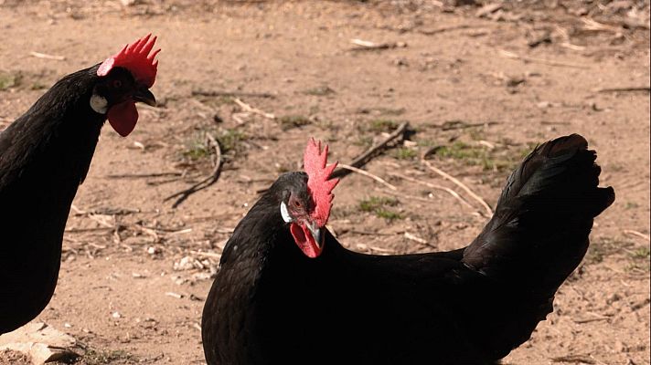 Aquí la Tierra - Aquí la Tierra - 24/03/22