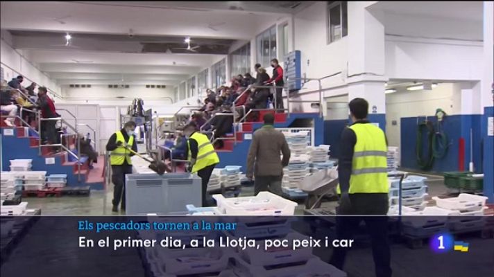 Informatiu Balear - Els pescadors tornen a la mar