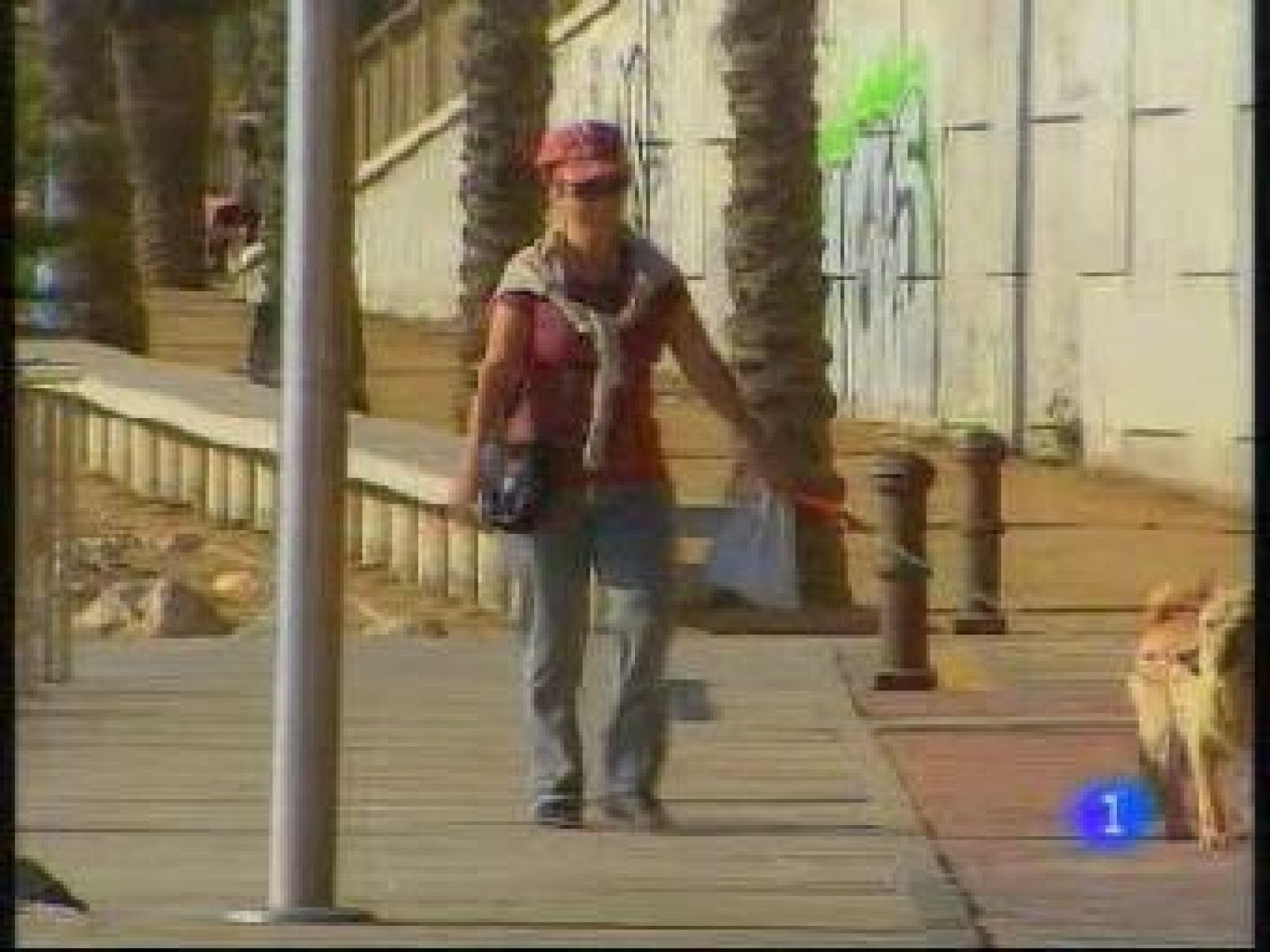 El Temps Migdia (10/12/09)