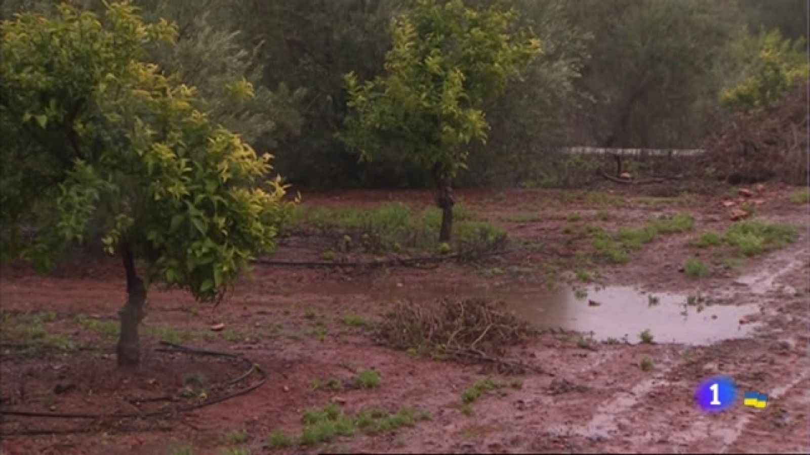 Los efectos de la lluvia en el campo extremeño - Ver ahora