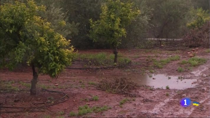 Noticias de Extremadura - Los efectos de la lluvia en el campo extremeño
