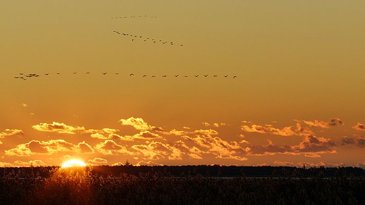 Somos Documentales - Otoño. Un mundo de colores