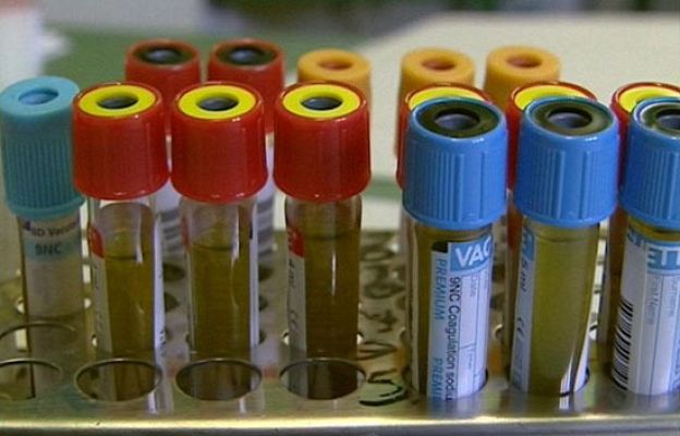  - Demandas prueba paternidad