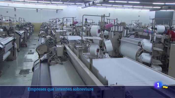 L'Informatiu - Empreses que intenten sobreviure