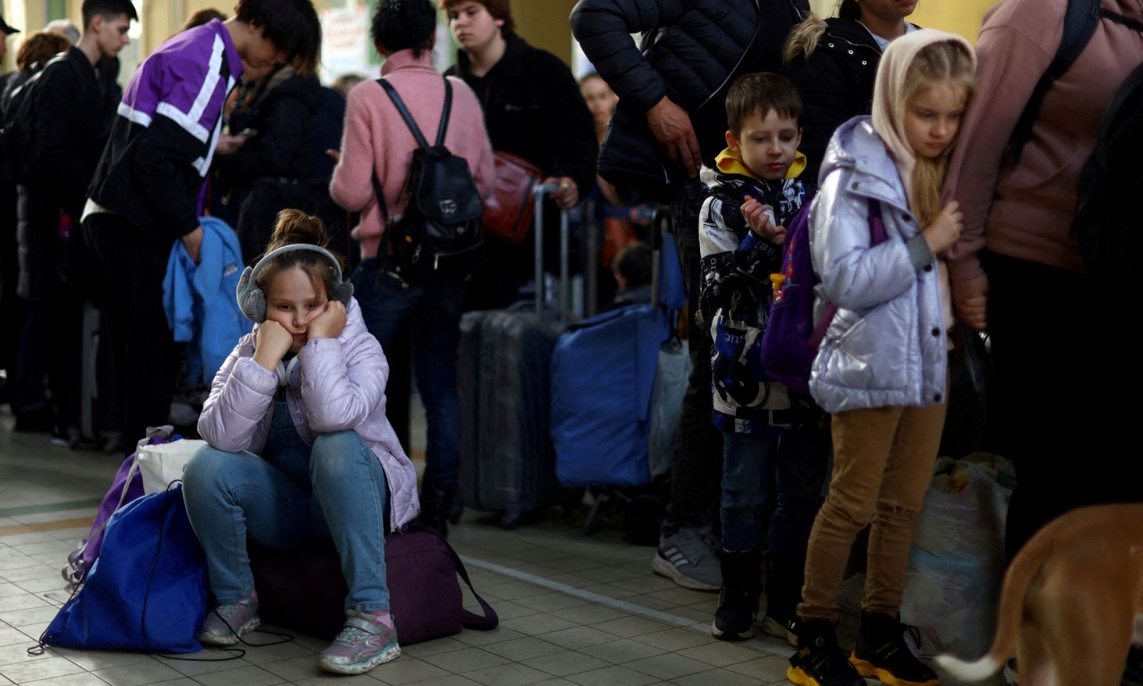 Erasmus españoles ayudan a los refugiados ucranianos en Polonia