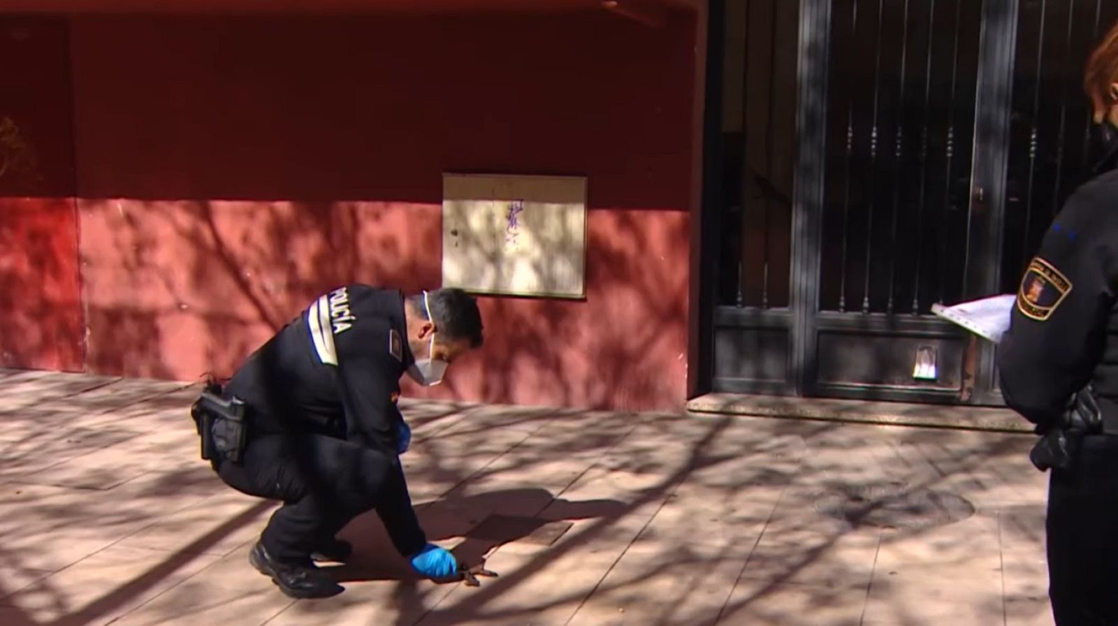 Pruebas de ADN para multar a los dueños de los perros | Ver