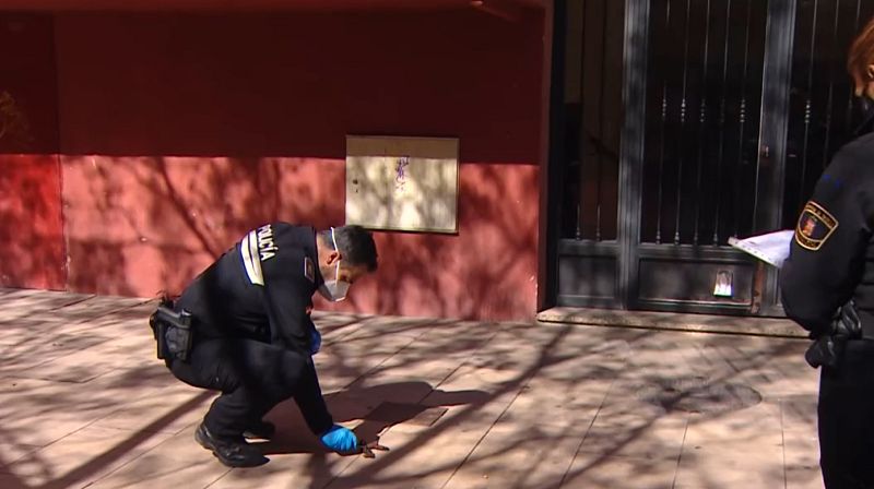 Pruebas de ADN para multar a los dueños de los perros | Ver