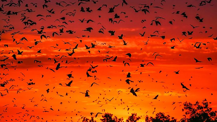 Un planeta perfecto - El clima