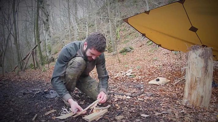 Repor - Preparacionistas