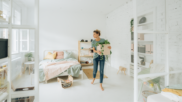 Telediario 2 - El Gobierno limitará las subidas del alquiler al 2%