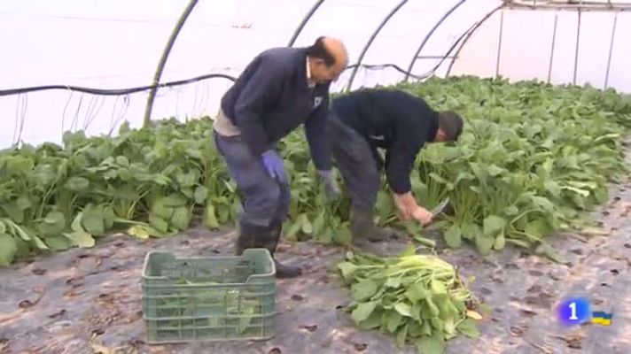 Informativo Telerioja - Telerioja en 2' - 29/03/22