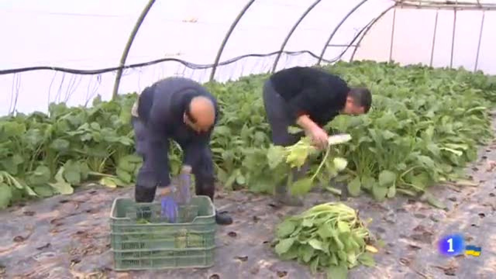 Informativo Telerioja - 29/03/22-Ver ahora