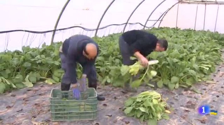 Informativo Telerioja - Informativo Telerioja - 29/03/22