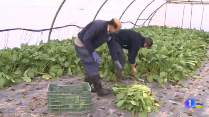 Informativo Telerioja - Informativo Telerioja 2 - 29/03/22