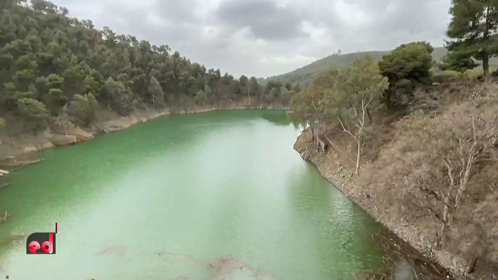 España Directo - 29/03/22 - ver ahora