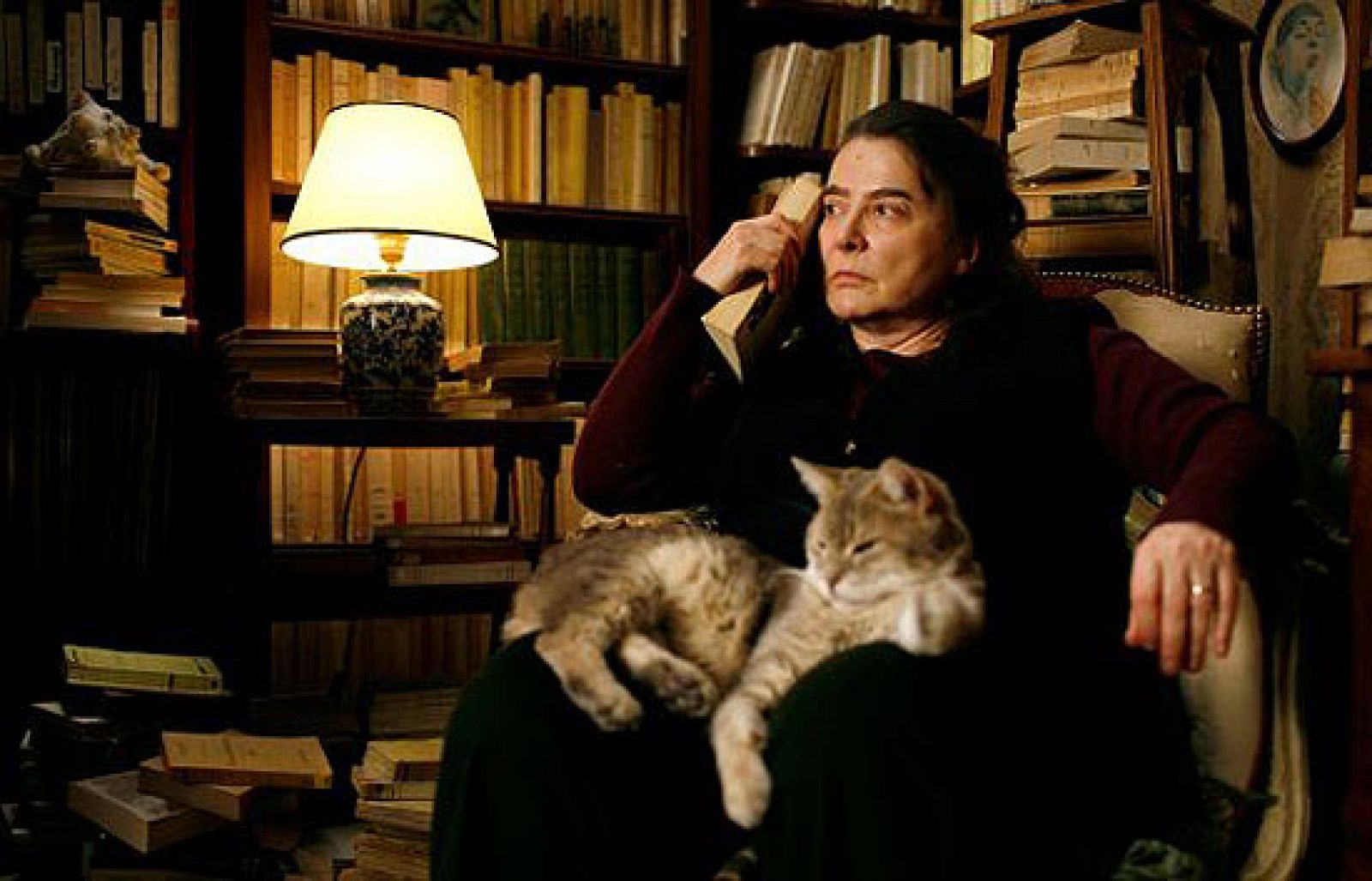 Días de cine - 'El erizo' | Ver