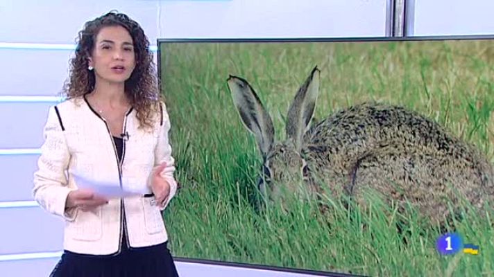 Informativo Telerioja - Informativo Telerioja 2 - 30/03/22