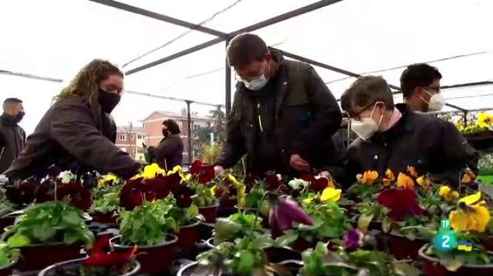 La aventura del Saber - Asociación Talismán. Apoyando la discapacidad intelectual