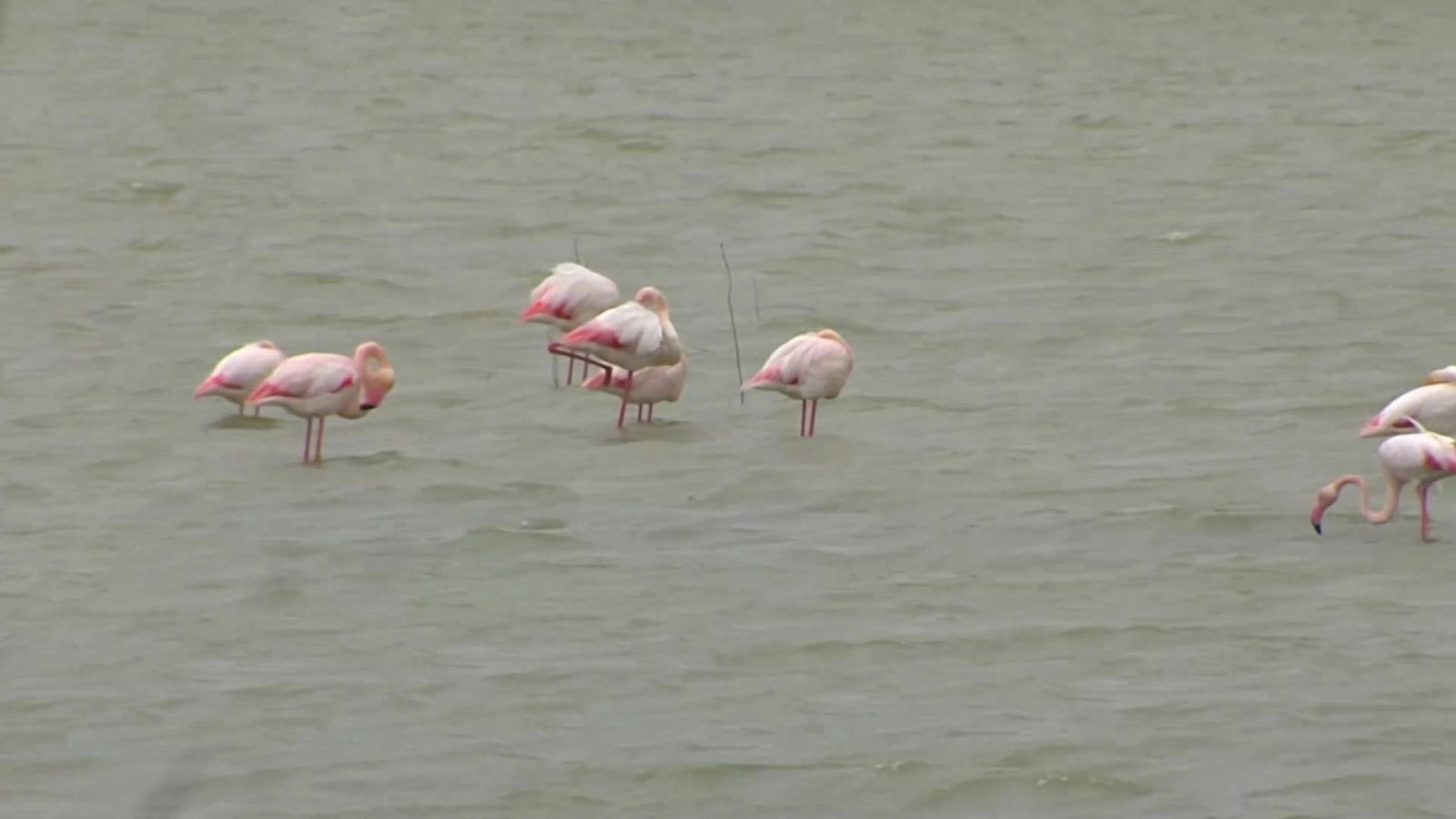 España Directo - 30/03/22 - ver ahora