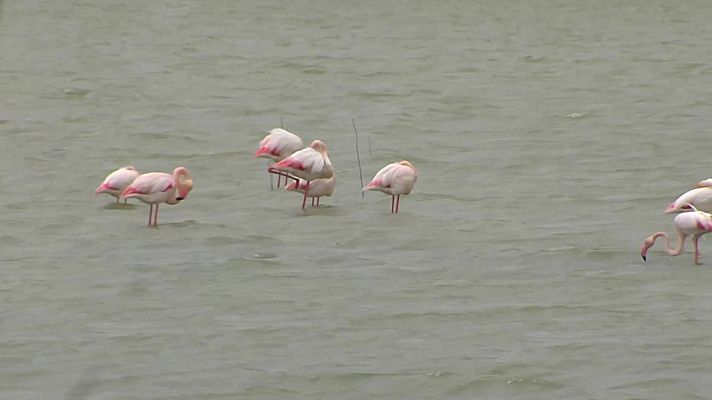 España Directo - España Directo - 30/03/22