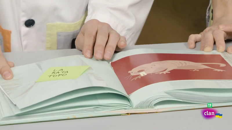 CIENCIAS NATURALES - El libro animal de los r�cords - Aprendemos en Clan | Ver