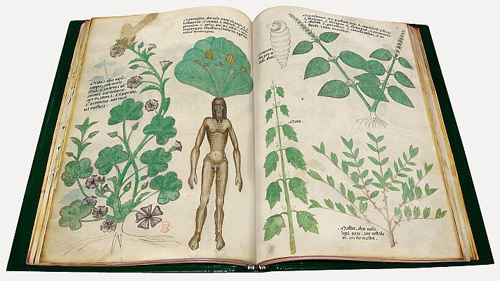 Telediario 1 - El Botánico expone copias de códices de plantas curativas de los siglos X-XVI