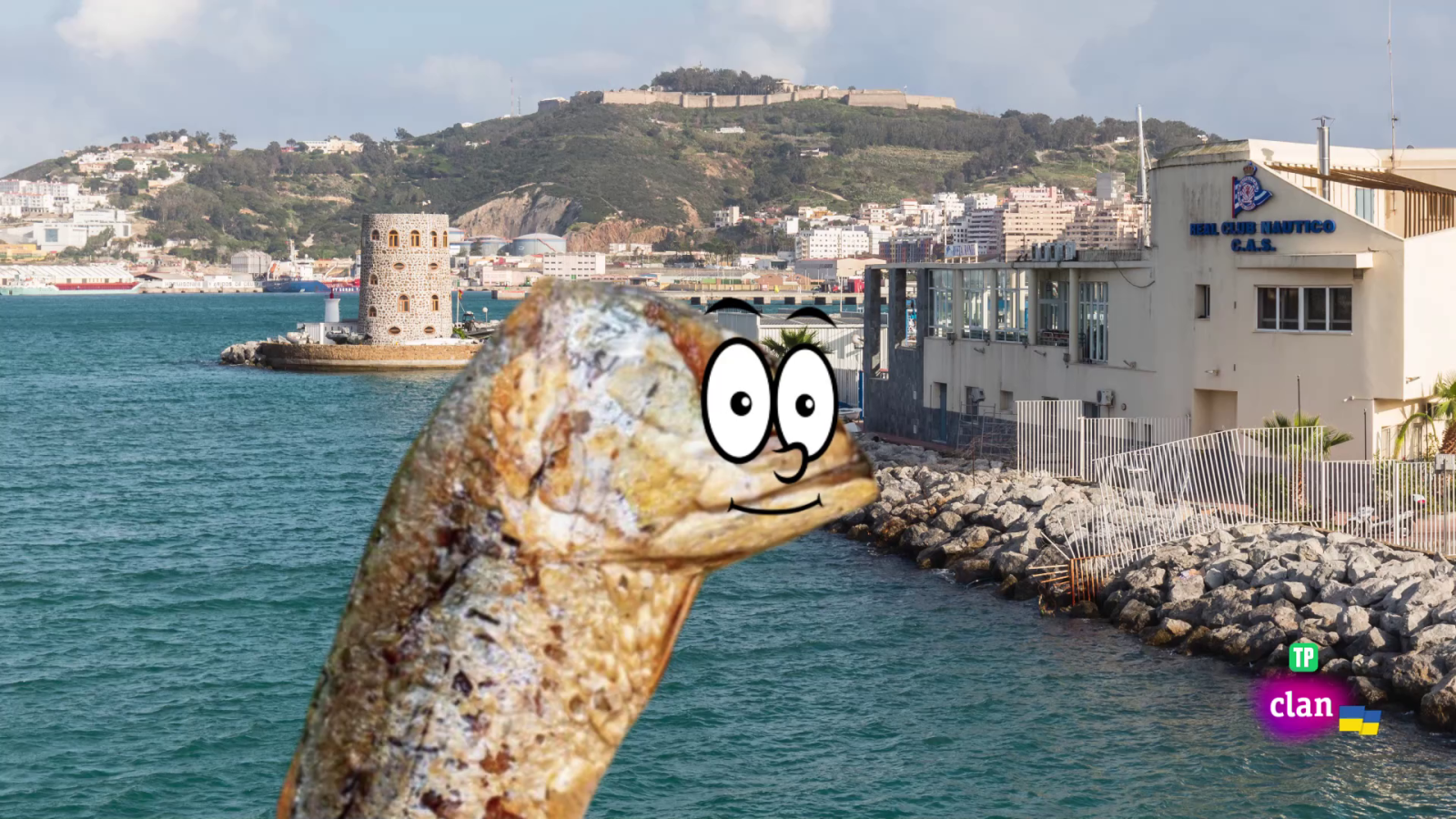 'Está mapachando' - Benito, el pescaíto fritro y más - Aprendemos en Clan | Ver