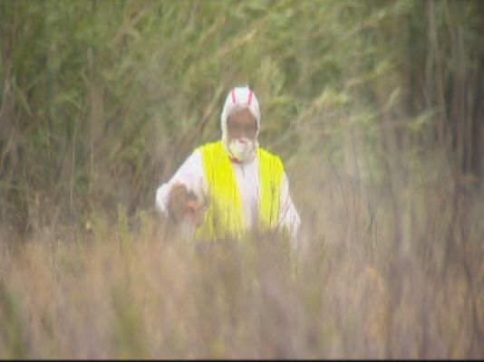 Noticias Andalucía - Symposium Sanidad Vegetal en Sevilla