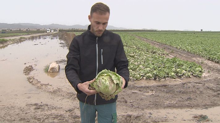 Agrosfera - Agrosfera - 02/04/22